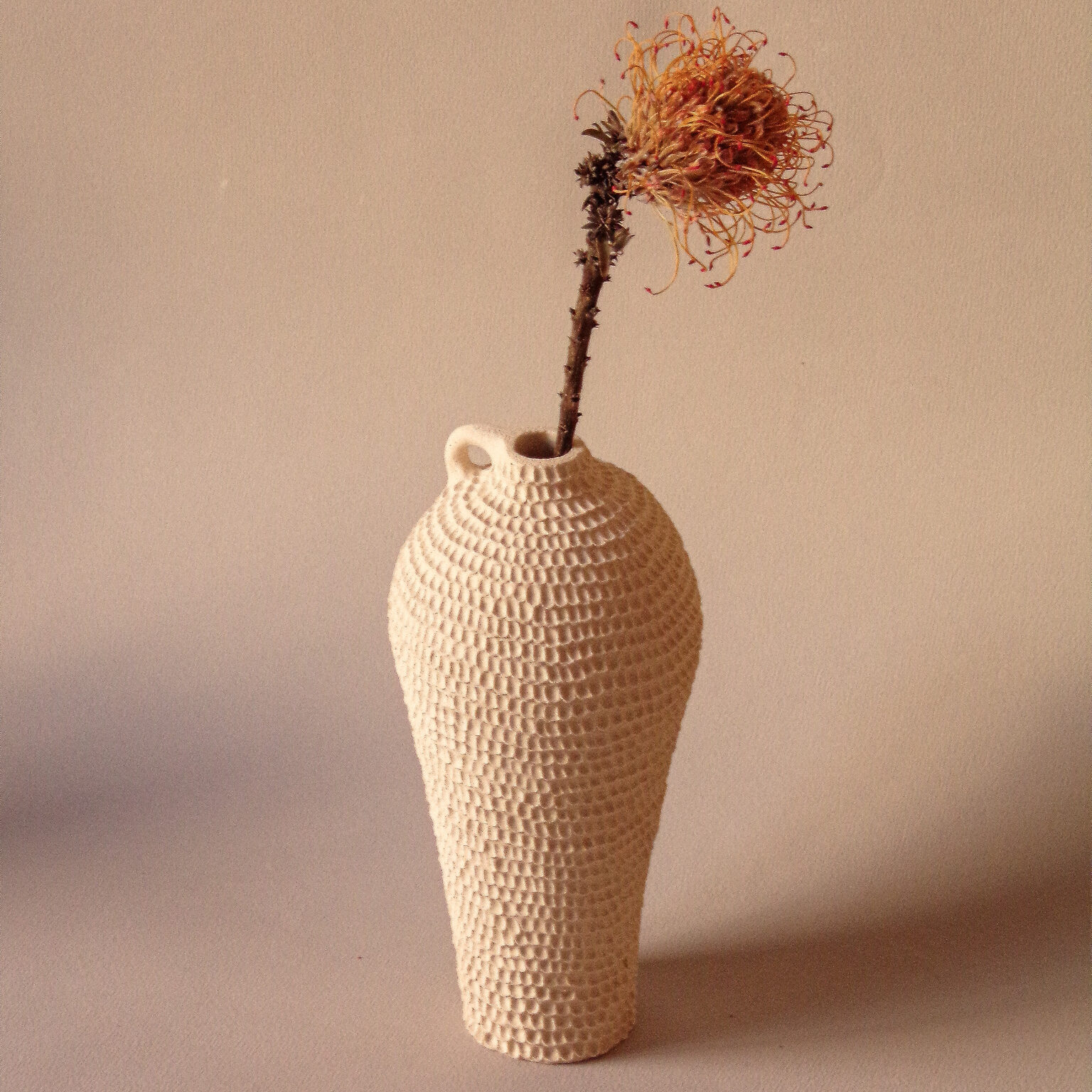 Soliflore Altea I - Osorno