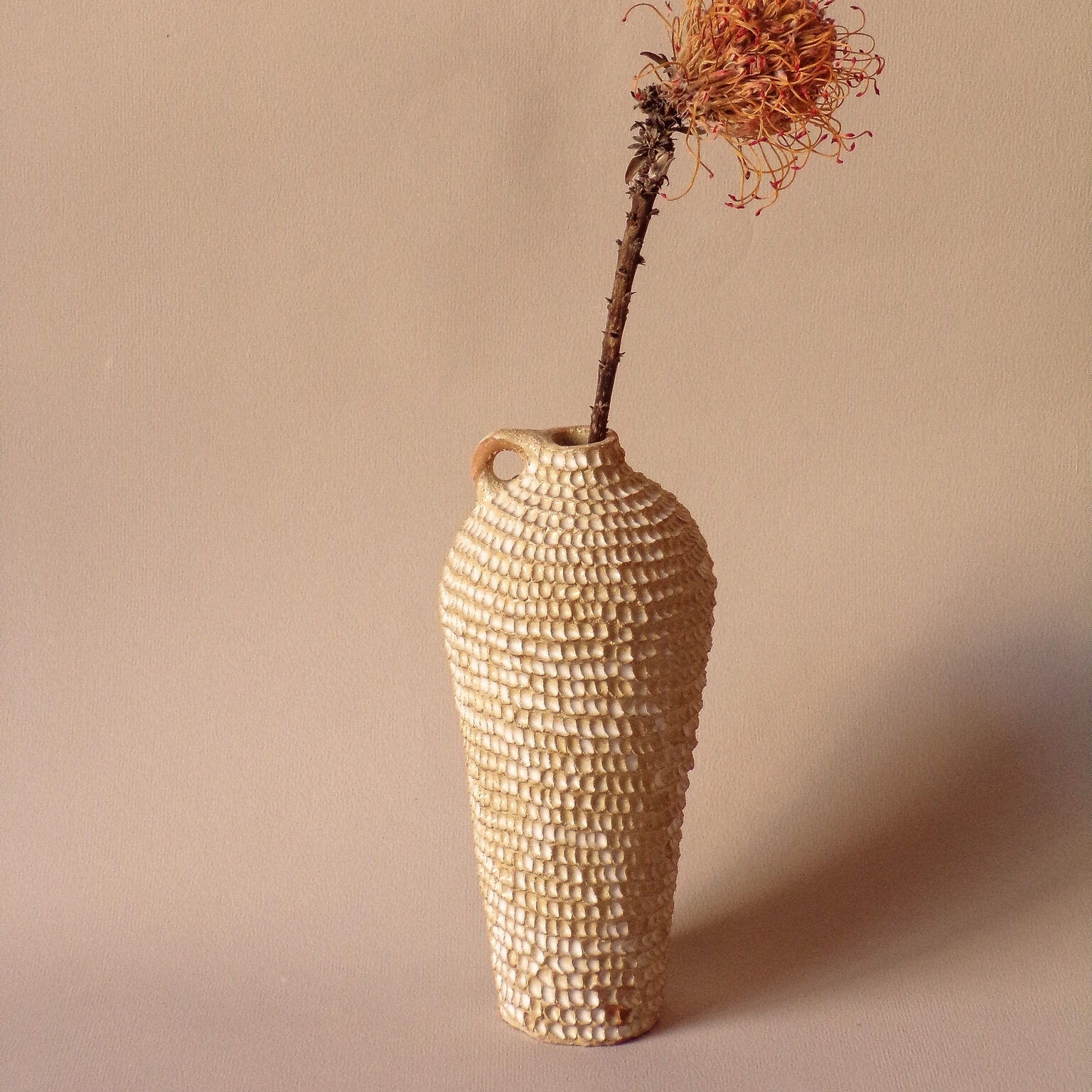 Soliflore Altea III - Osorno