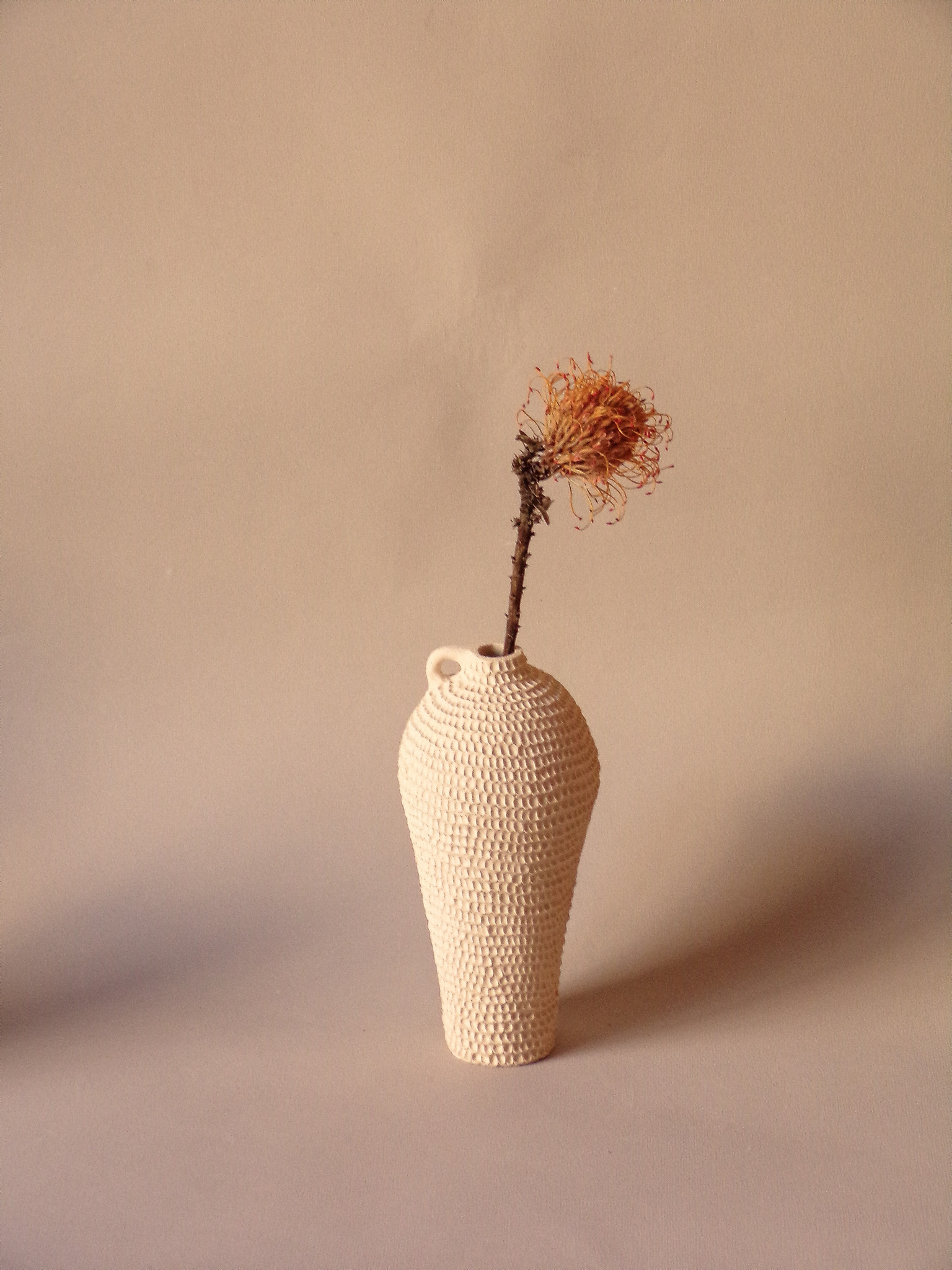 Soliflore Altea I - Osorno