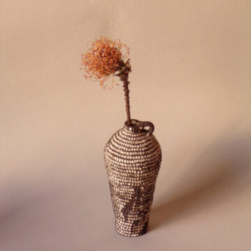 Soliflore Altea II - Osorno