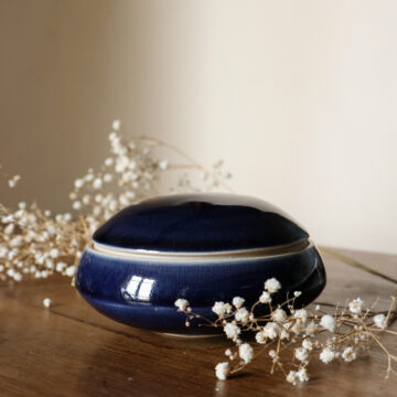 Élégante bleue - Osorno