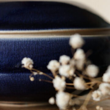 Élégante bleue - Osorno