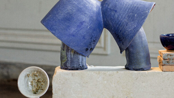 Quel est le projet dont tu es la plus fière ? - Osorno