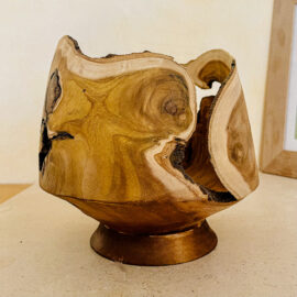 Photophore mûrier - Osorno