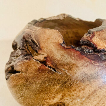 Vide-poche Figuier II - Osorno