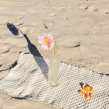 Drap de bain Coquillage - Osorno