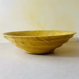 Saladier Waves - Osorno